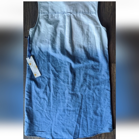 Given Kale Women's Blue Faded Collared Dress/Tunic Sleeveless Button Size Small. - Picture 11 of 12